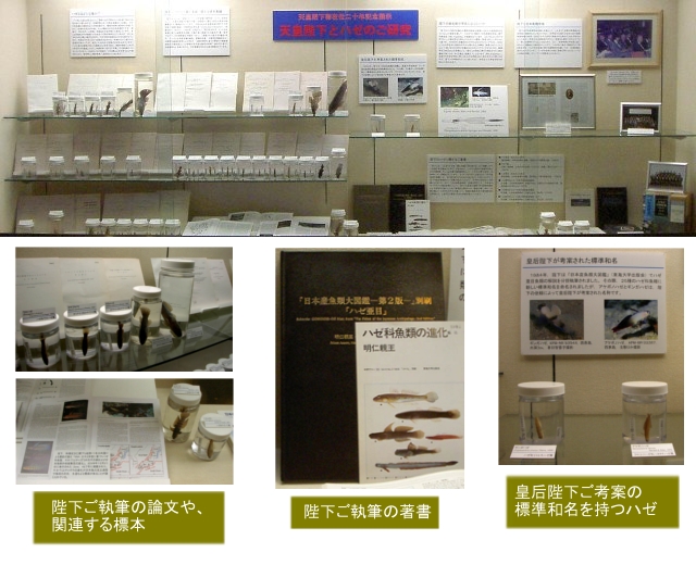 展示イメージ