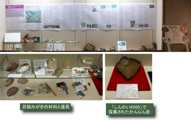 展示イメージ