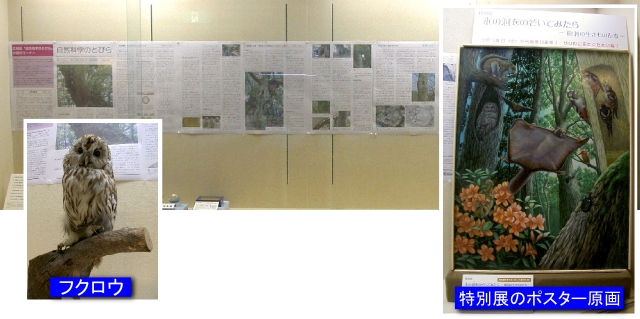 展示イメージ