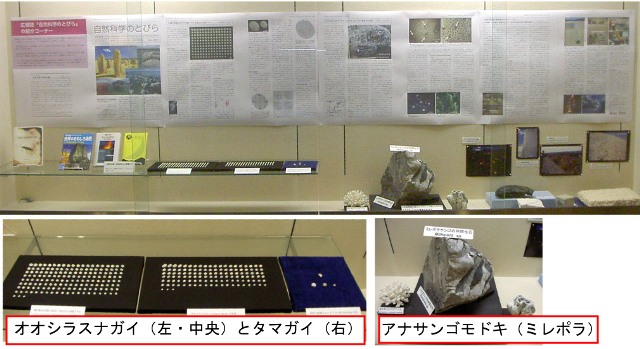 展示イメージ