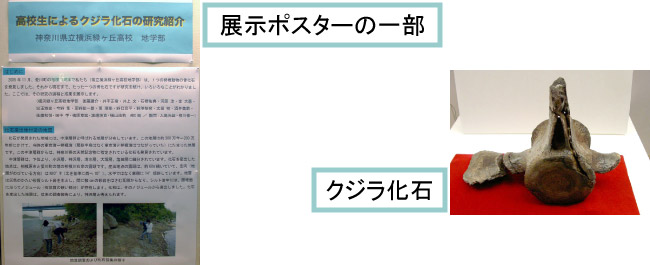 展示イメージ2