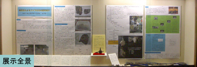 展示イメージ1