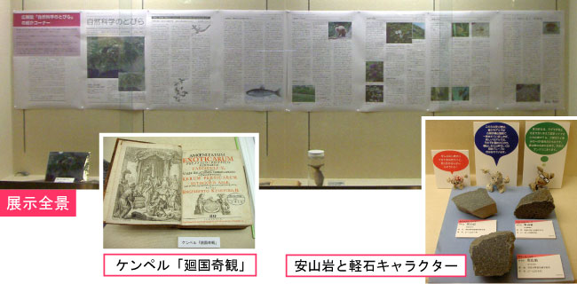 展示イメージ