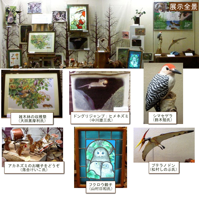 展示イメージ