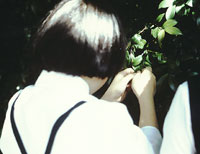 中1　授業