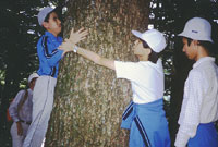 高1　夏期学校　林の観察　自分の体を使って大きさを知る。木にふれる、梢をわたる風の音に耳を澄ます。