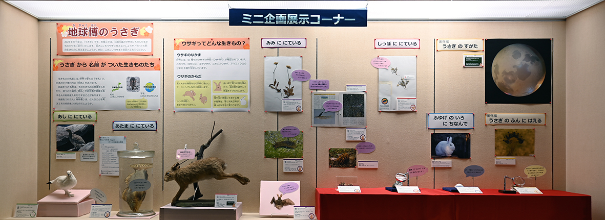 ミニ企画展示の展示全景画像