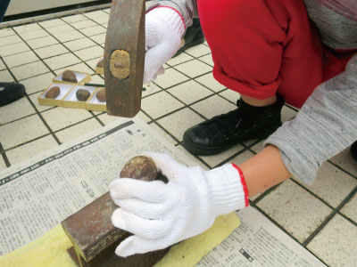 講座「親子でノジュール割に挑戦」のイメージ画像