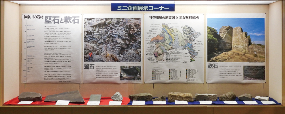 ミニ企画展示の展示全景画像