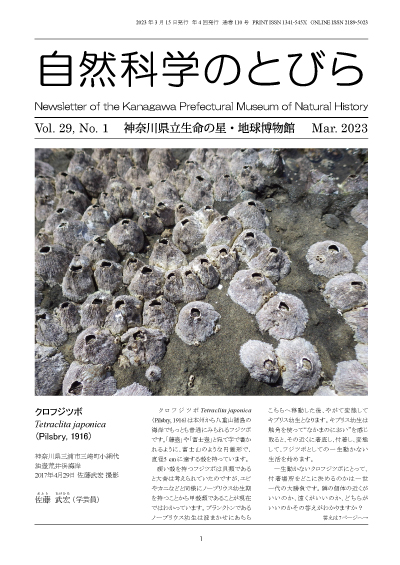 自然科学のとびら Vol.29,No.1 表紙
