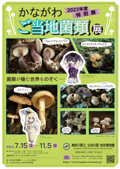 2023年度 特別展 かながわご当地菌類展　イメージ画像