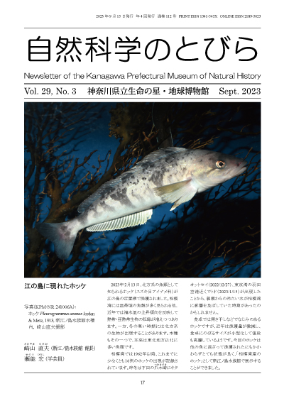 自然科学のとびら Vol.29,No.3 表紙