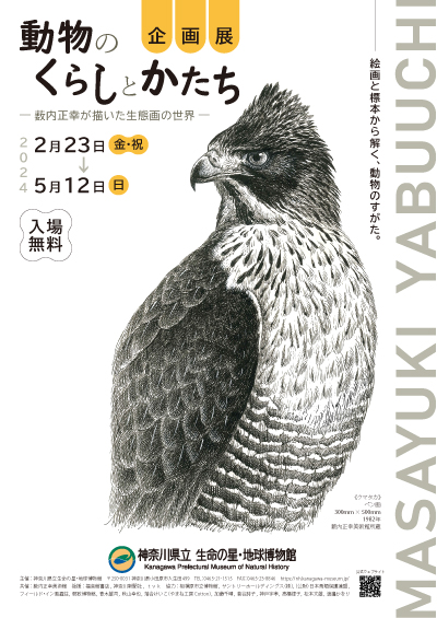 【企画展】動物のくらしとかたち―薮内正幸が描いた生態画の世界―のチラシ画像（表）