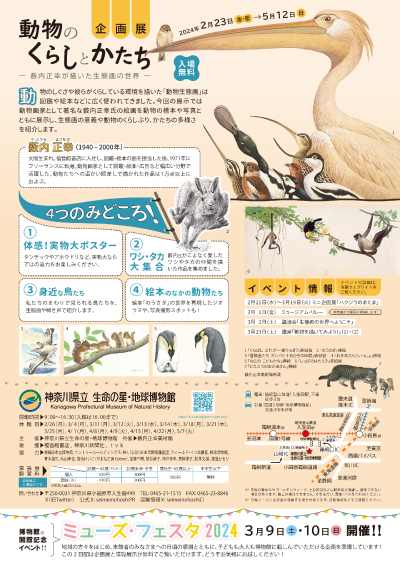 【企画展】動物のくらしとかたち―薮内正幸が描いた生態画の世界―のチラシ画像（裏）
