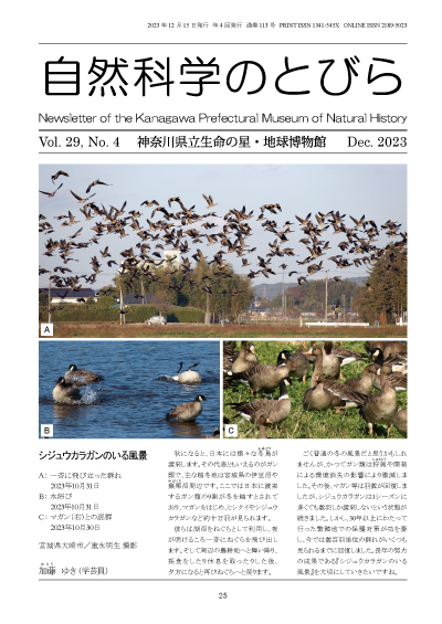 自然科学のとびら Vol.29,No.4 表紙