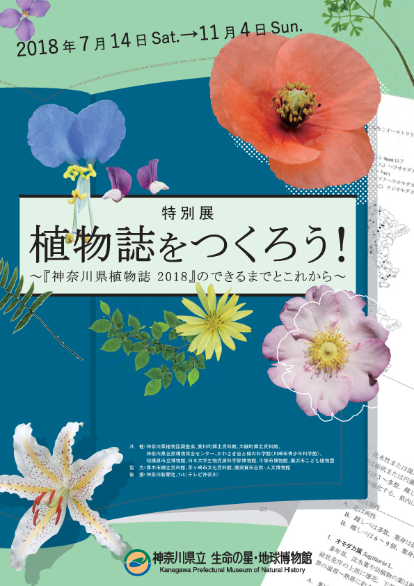 植物誌展チラシ画像表