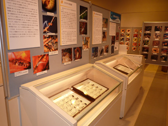 写真10