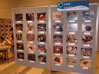 写真16
