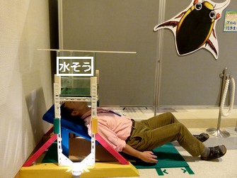 写真19