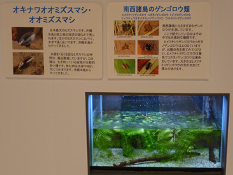 写真5