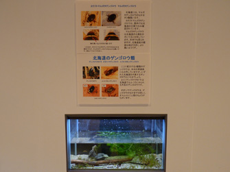 写真6