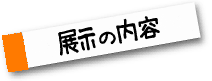 展示の内容