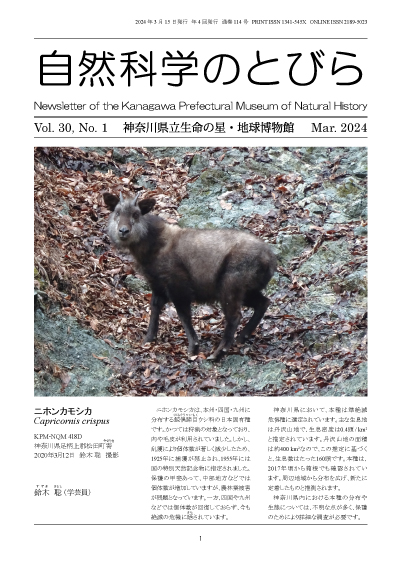 自然科学のとびら Vol.30,No.1 表紙