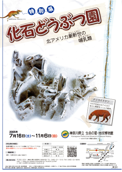  【特別展】化石どうぶつ園　北アメリカ漸新世の哺乳類 チラシ