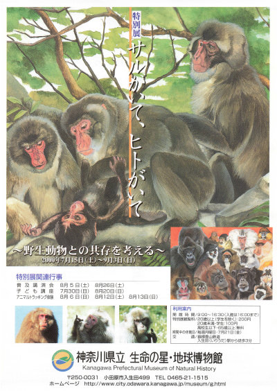 【特別展】サルがいて、ヒトがいて―野生動物との共存を考える―チラシ画像