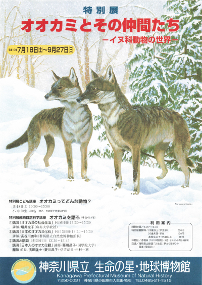 1998年度【特別展】オオカミとその仲間たち―イヌ科動物の世界― チラシ