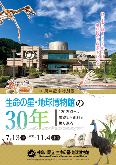 「【特別展】生命の星・地球博物館の30年　--120万点から厳選した資料で振り返る--」のチラシ画像