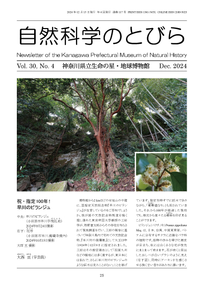 自然科学のとびら Vol.30,No.4 表紙