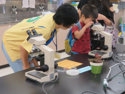 「けんびきょうで大発見」の様子