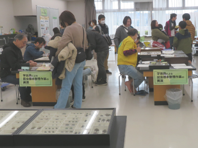 内容紹介6