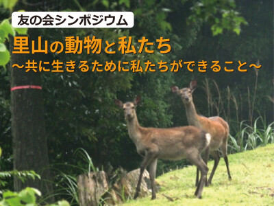 友の会シンポジウム「里山の動物と私たち ―共に生きるために私たちができること―」