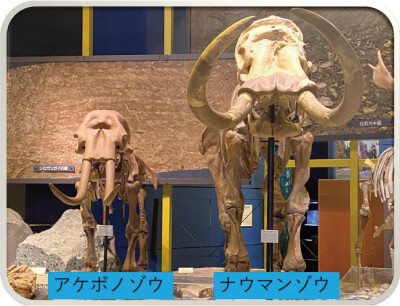 20260816_kouza_taru.JPG