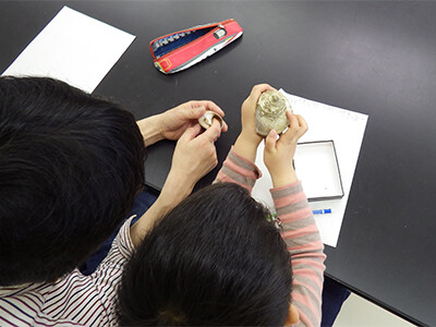 おやこで貝がらをしろう（1）