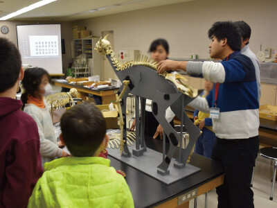 ほねほねパズルで学ぶ動物の骨のかたちとくらし