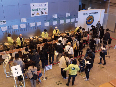 恐竜の折り紙プレゼント