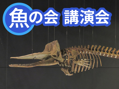 魚の会（うおのかい） 令和8年度第1回講演会「クジラ－海に棲む哺乳類とその調査－」