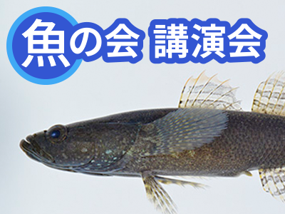 魚の会（うおのかい） 令和8年度第2回講演会「地球温暖化に翻弄される水生生物 ―全国の汽水域・沿岸域を例に―」