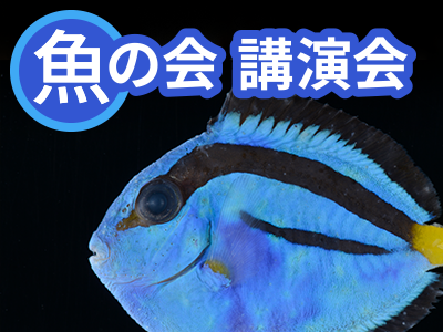 魚の会（うおのかい） 令和8年度第3回講演会「相模湾の魚は2,000種類！？ 多様性をささえる歴史と背景」