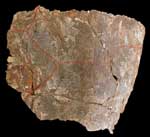 �V�����X�i���b�j