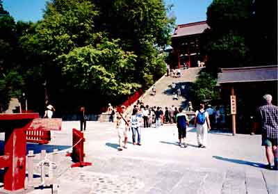 鎌倉鶴岡八幡宮の境内。六千年前の海岸線は石段の下に達していた。