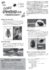 2011年度特別展「およげ！ゲンゴロウくん　〜水辺に生きる虫たち〜」チラシ裏　PDFファイルをダウンロードできます(259KB)