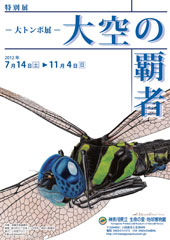 2012年度特別展「大空の覇者 -大トンボ展-」チラシ表 PDFファイルをダウンロードできます(452KB)