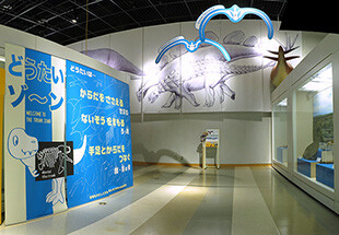 展示室 どうたいゾーン
