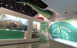 展示室 しっぽゾーン