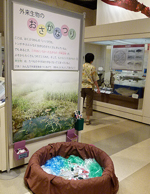 「外来生物のおさかなつり」