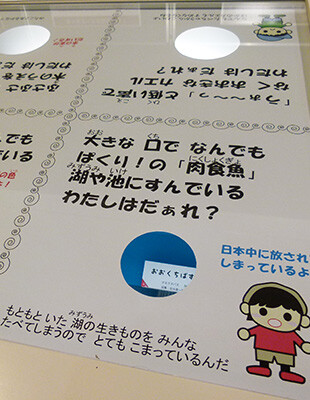 「子ども展示(一部)」
